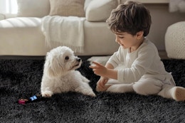 Small 2' x 3' Area Rug, Just $5.99 on Amazon (Reg. $9.98) card image