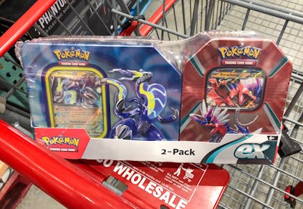 Pokemon Toy