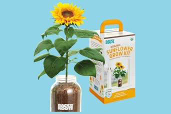 sunflower kit
