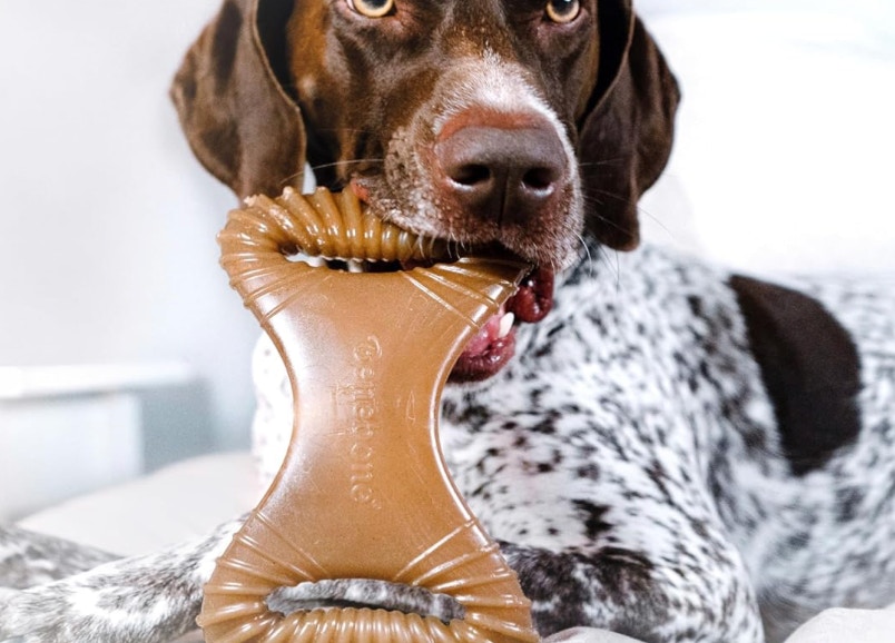 Amazon Benebone Dog Chew Toy 2025 2