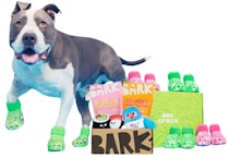BarkBox 6-Month Subscription