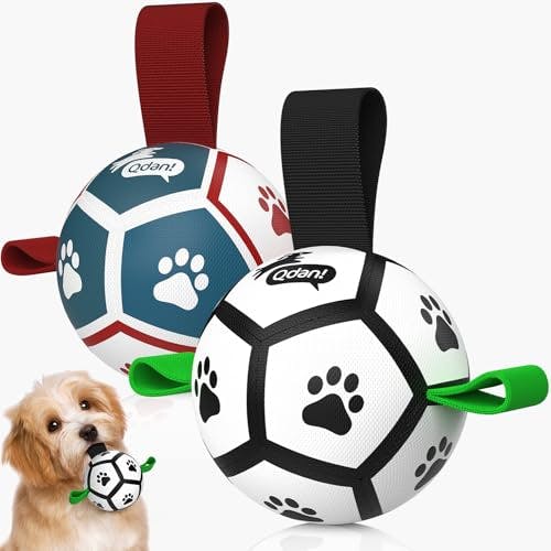 Dog Toys 2-Pack