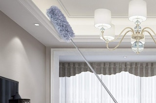 amazon feather duster