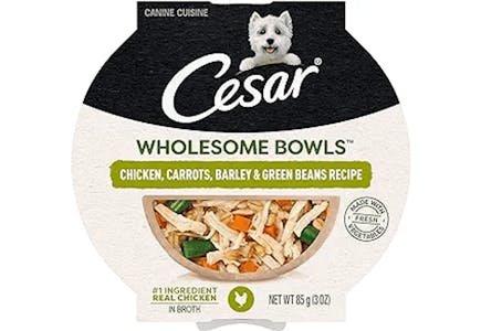 Cesar Soft Wet Dog Food 10-Pack