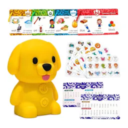 Phonics Flash Cards with Talking Pen