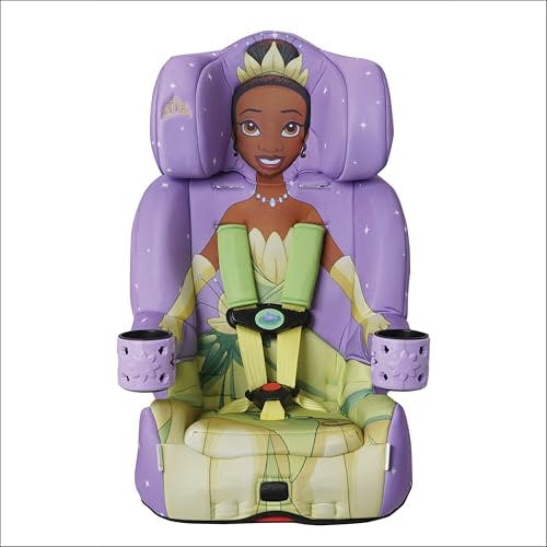 2-in-1 Car Seat