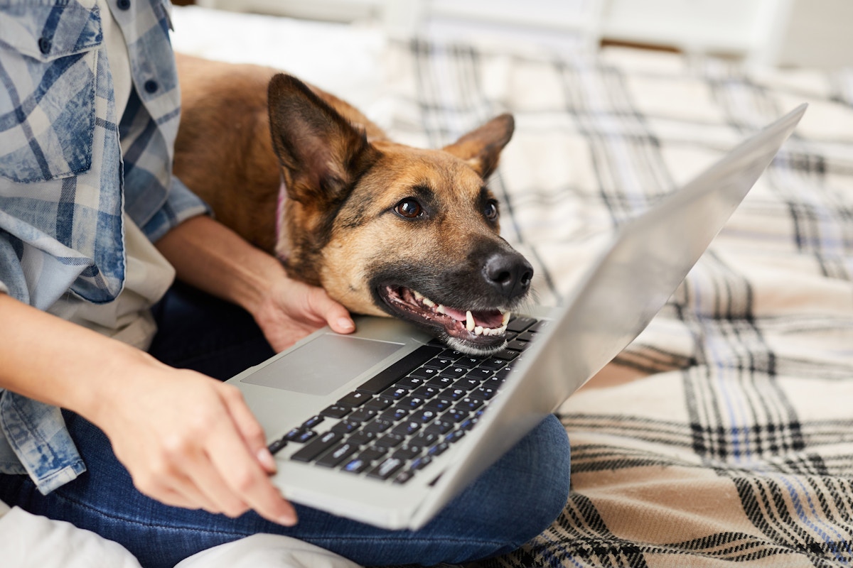 Women playing with dog