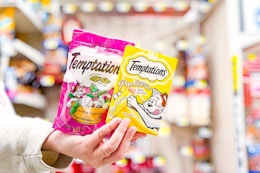 hand holding temptations cat treats