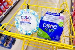 dixie plates and cups in a dollar general shopping cart