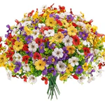 Artificial Daisy Flowers