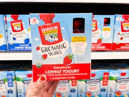 A hand holding a box of Horizon Organic Growing Years Lowfat Yogurt at Target