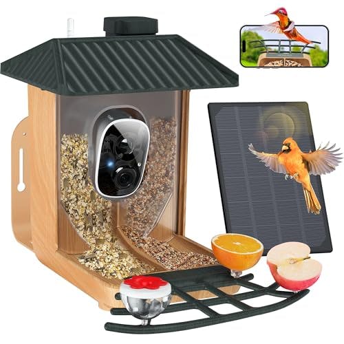 Smart Bird Feeder With Camera