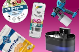 15+ Amazon Weekend Deals Worth Shopping: Celsius, Angel Soft, Blue Buffalo card image