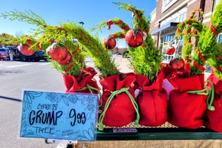 trader-joes-grump-tree-1