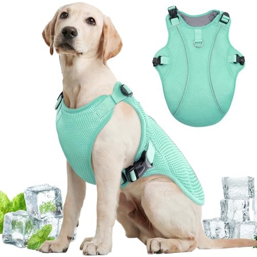 Dog Cooling Vest