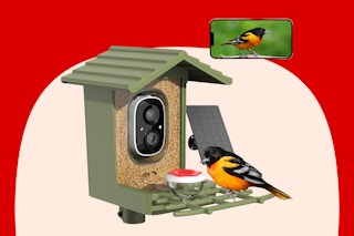 Camera Bird Feeder With AI B0FN3W16ZS