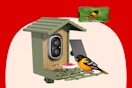 Camera Bird Feeder With AI B0FN3W16ZS