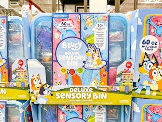 bluey deluxe sensory bin