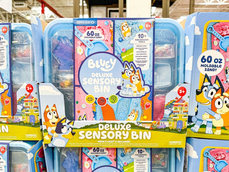bluey deluxe sensory bin