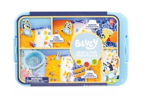 Bluey Seek & Find Sensory Bin