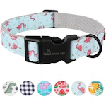 Dog Collar