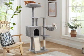 two cats resting on a cat tree condo