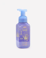 Bath & Body Works Foaming Hand Soap