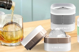 ice molds on a table