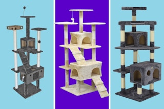 chewy cat trees
