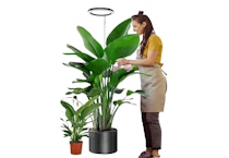 Plant Grow Light