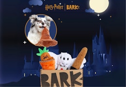 Harry Potter BarkBox
