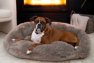 costco doggy decor by arlee home pet bed 1