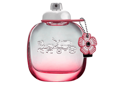 Coach Floral Blush Perfume