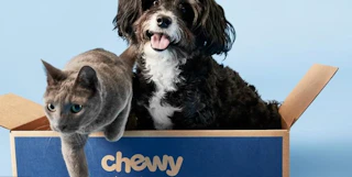 chewy 1680288505 1680288505