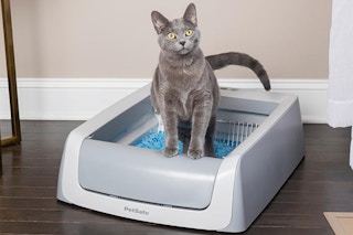 amazon litter box B07WZPJ2LW