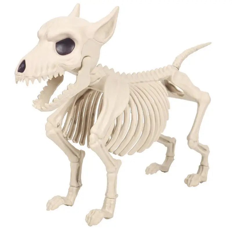 Animal Skeleton Decoration