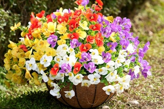 amazon-outdoor-artificial-flowers