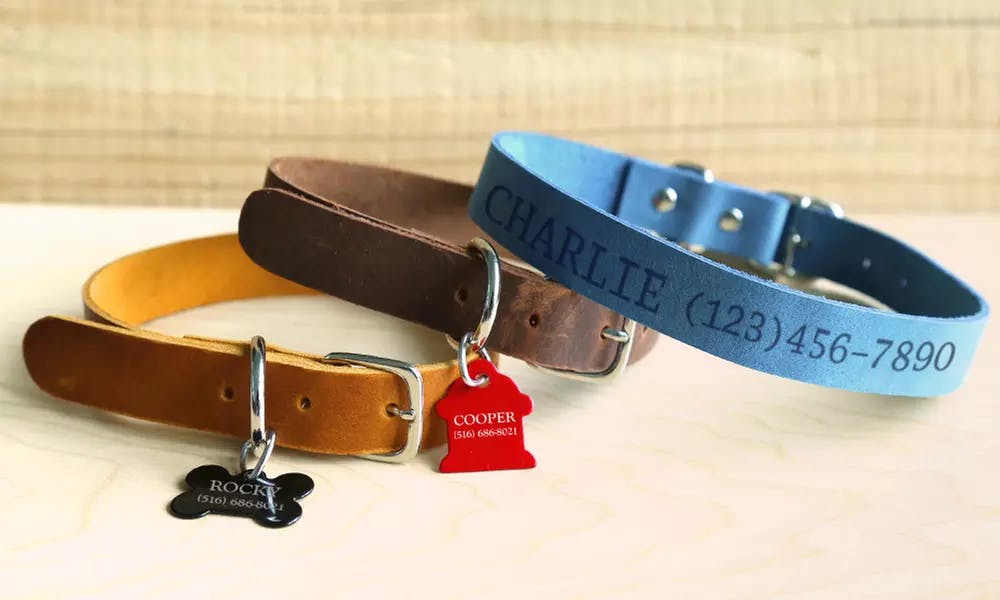 Personalized Pet Collar