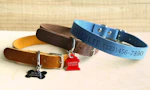 Personalized Pet Collar