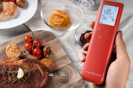 person checking the temperature of steak with thermometer