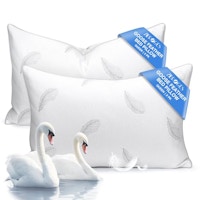 Queen Goose Feather Pillows