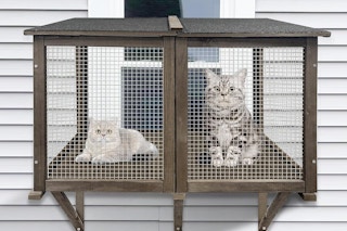catio