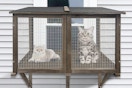 catio