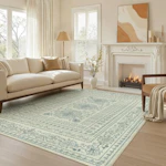 5x7 Area Rug