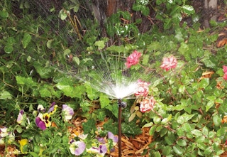 amazon rain bird watering kit 2023 1 1680277280 1680277280