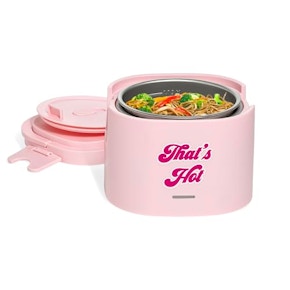 Electric Lunch Warmer