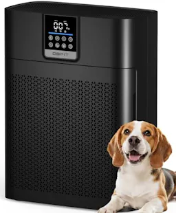 Air Purifier