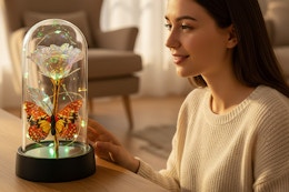 a woman near a butterfly rose in glass