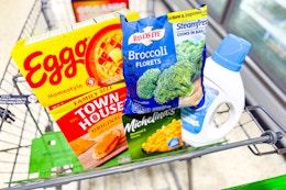 publix-weekly-deals-021926-eggo-birds-eye-town-house-all-michelines