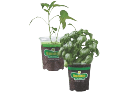3 Bonnie Pepper and Herbs